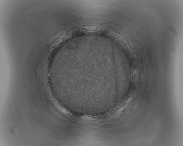 X0000111870913200908201213