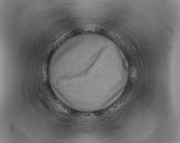 X0000111870916200908201213