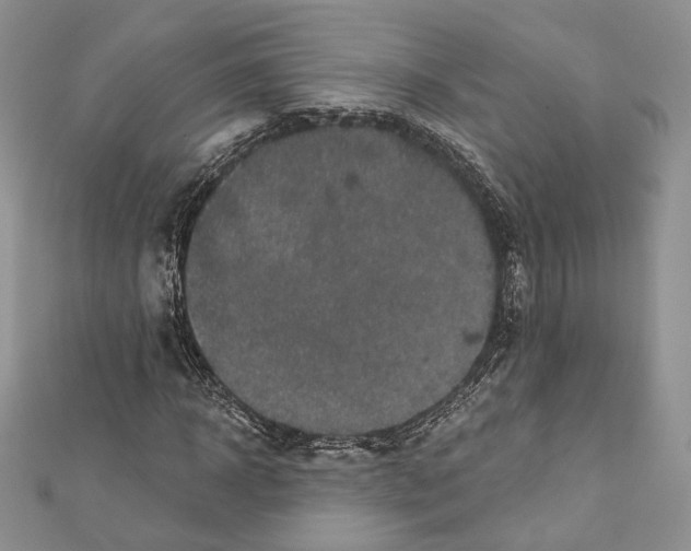 X0000111870918200908201213