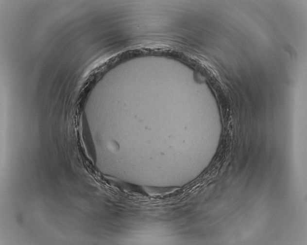 X0000111870920200908201213