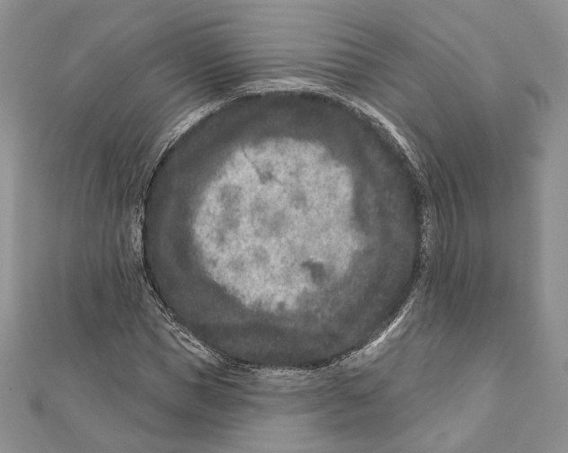 X0000111870921200908201213