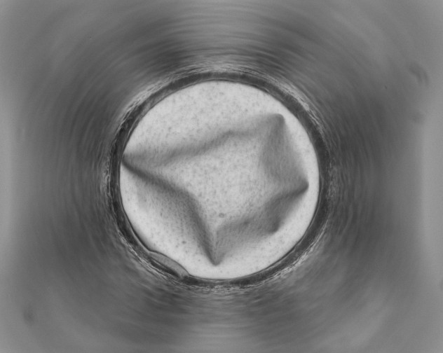 X0000111870922200908201213