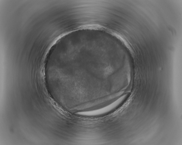 X0000111870923200908201213