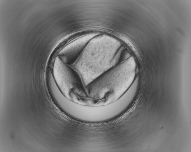 X0000111870924200908201213