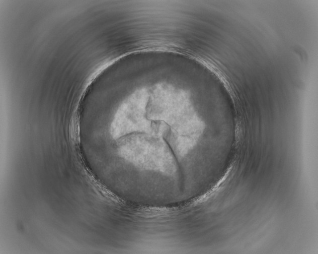 X0000111870925200908201213