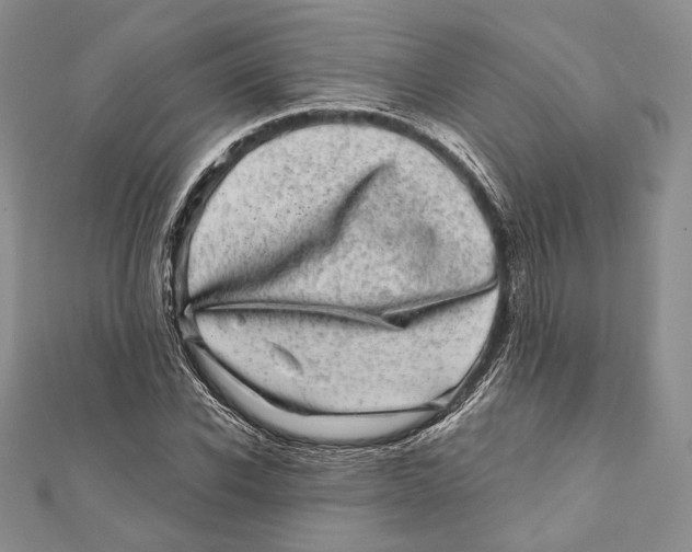 X0000111870926200908201213