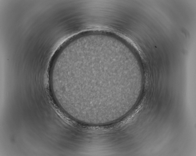 X0000111870927200908201213