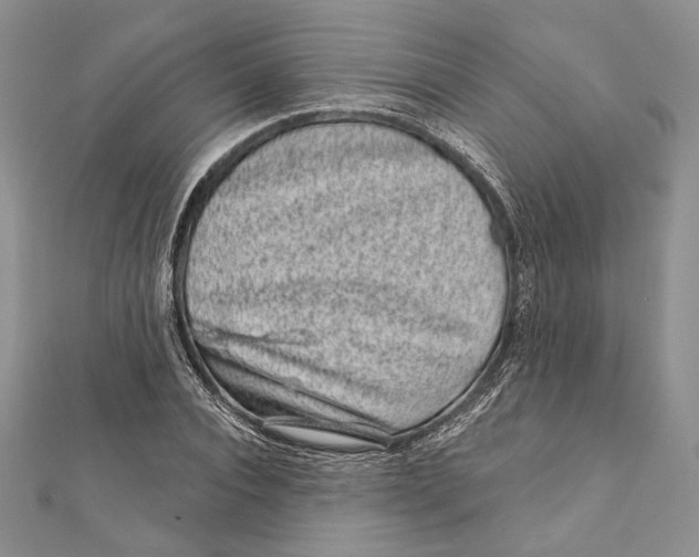 X0000111870928200908201214