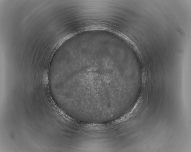 X0000111870929200908201214