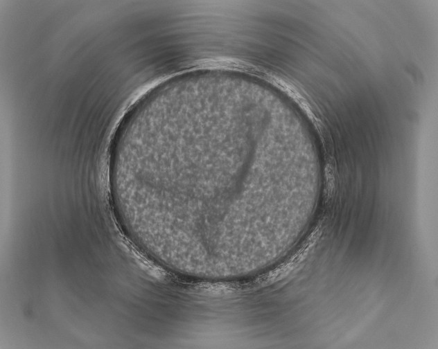 X0000111870931200908201214