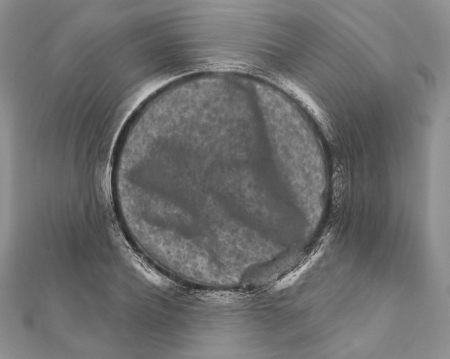 X0000111870932200908201214