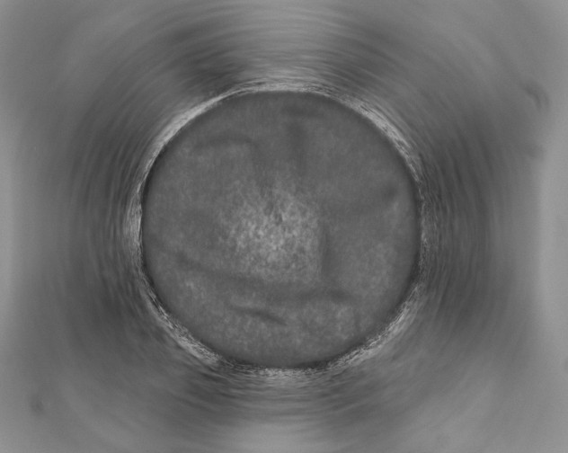 X0000111870933200908201214