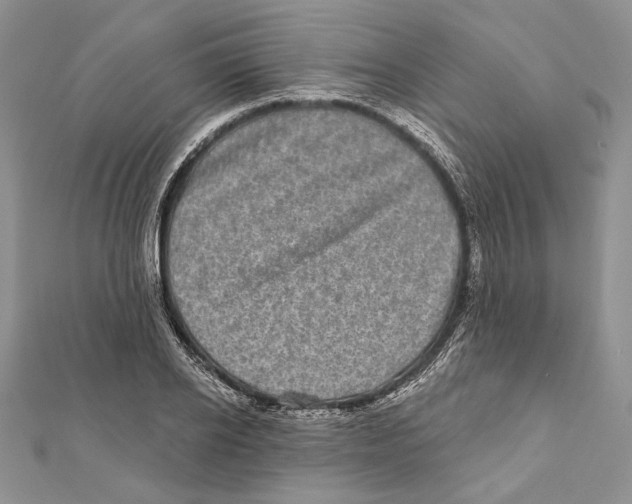 X0000111870934200908201214