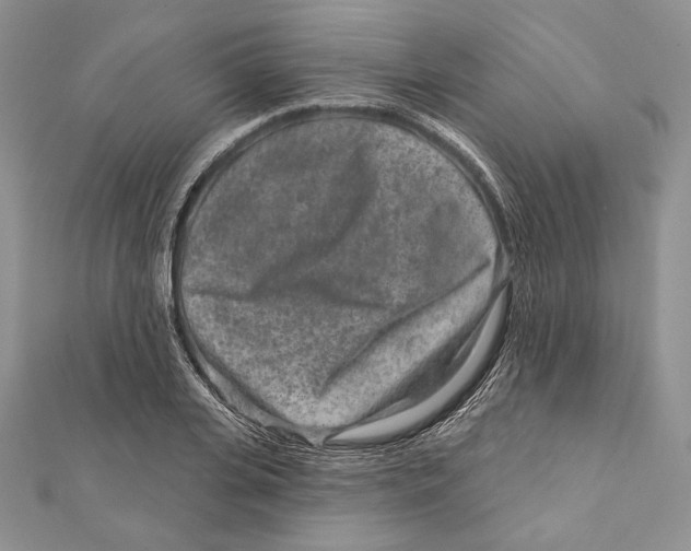 X0000111870935200908201214