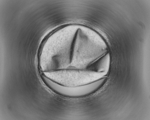 X0000111870936200908201214