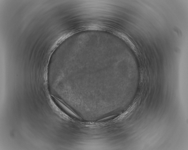 X0000111870938200908201214