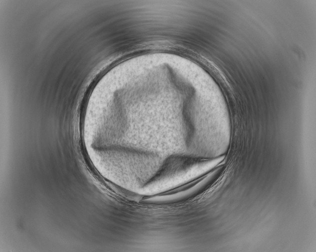 X0000111870939200908201214