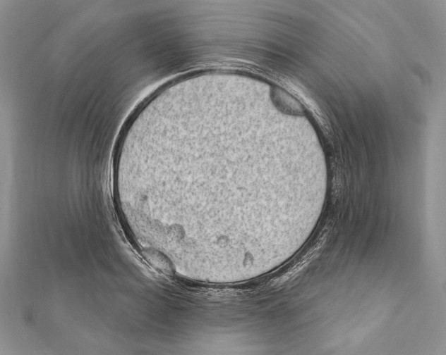 X0000111870940200908201214