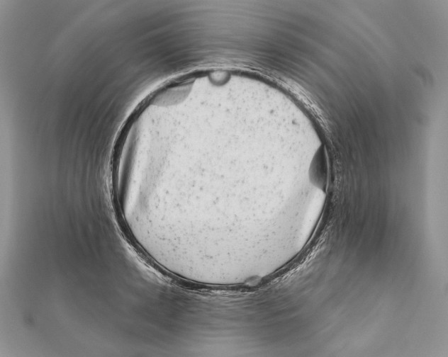 X0000111870942200908201214