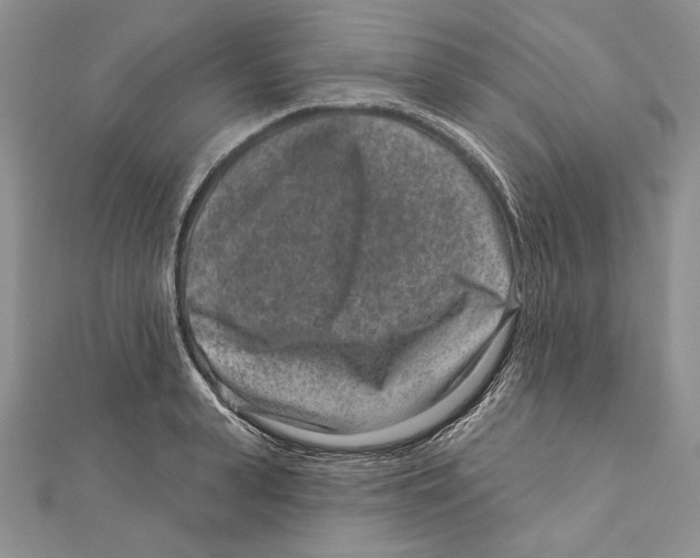 X0000111870943200908201214