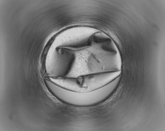 X0000111870944200908201214