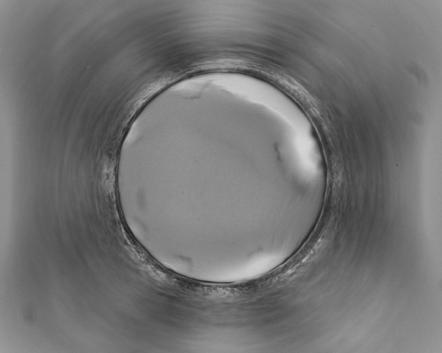 X0000111870945200908201214