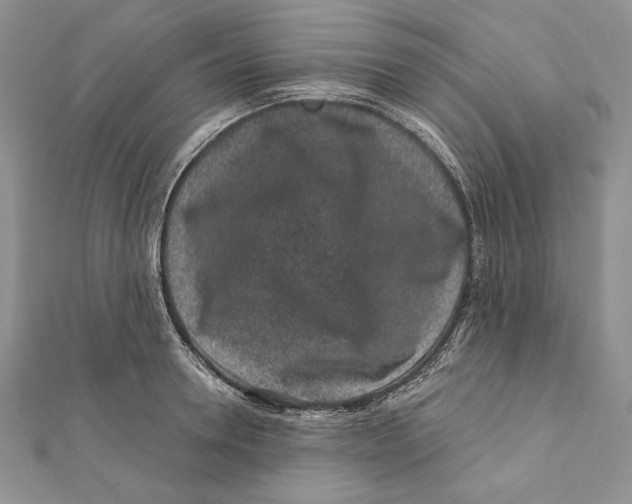 X0000111870946200908201214