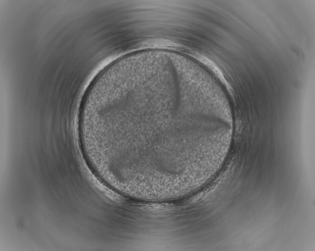 X0000111870947200908201214