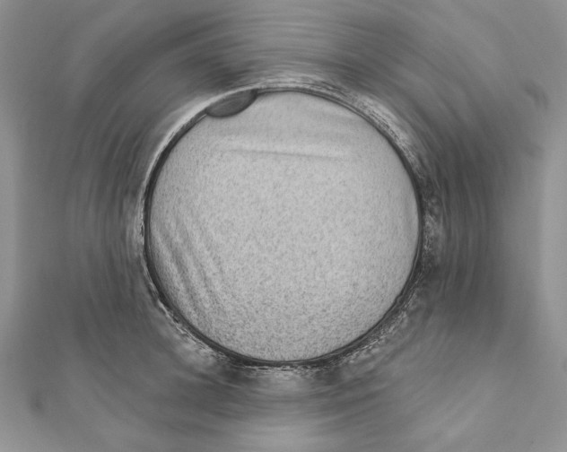 X0000111870948200908201214