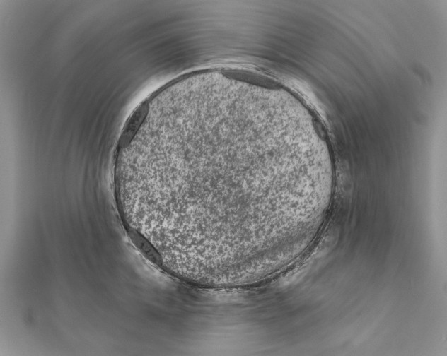 X0000111870952200908201214