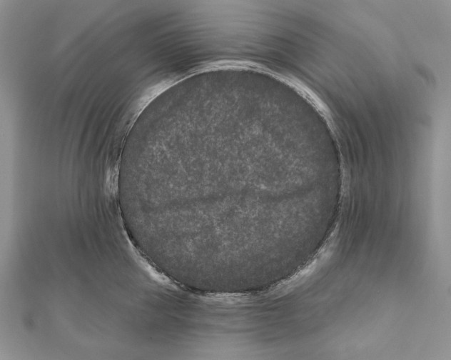 X0000111870953200908201214