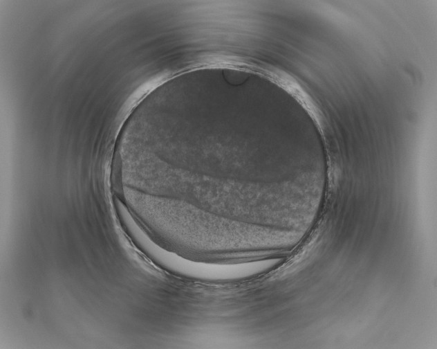 X0000111870954200908201214