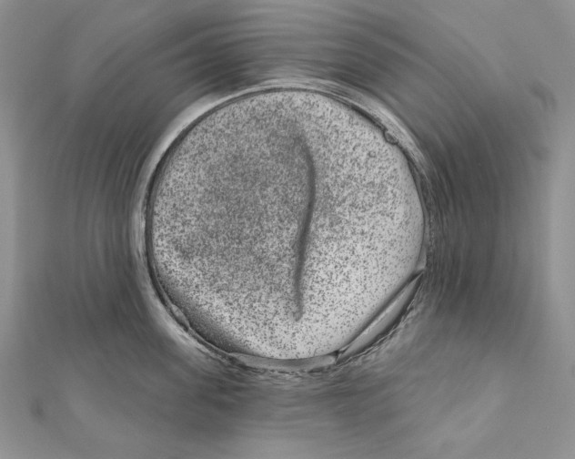 X0000111870955200908201214