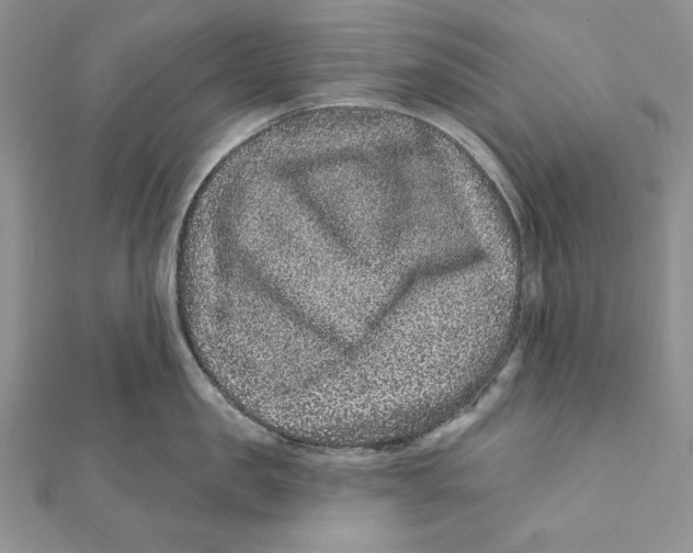 X0000111870957200908201214