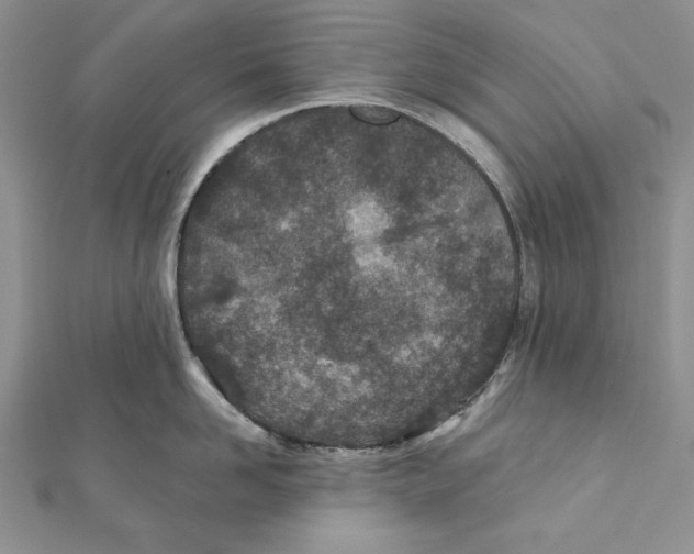 X0000111870958200908201214