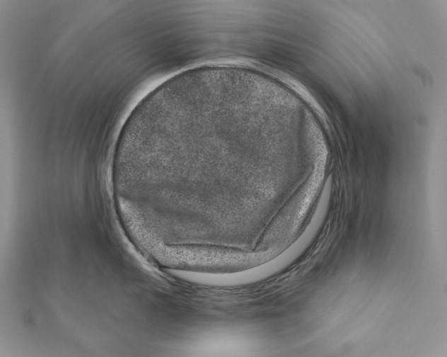 X0000111870959200908201214