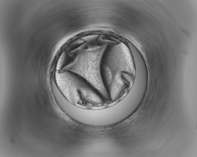 X0000111870960200908201214