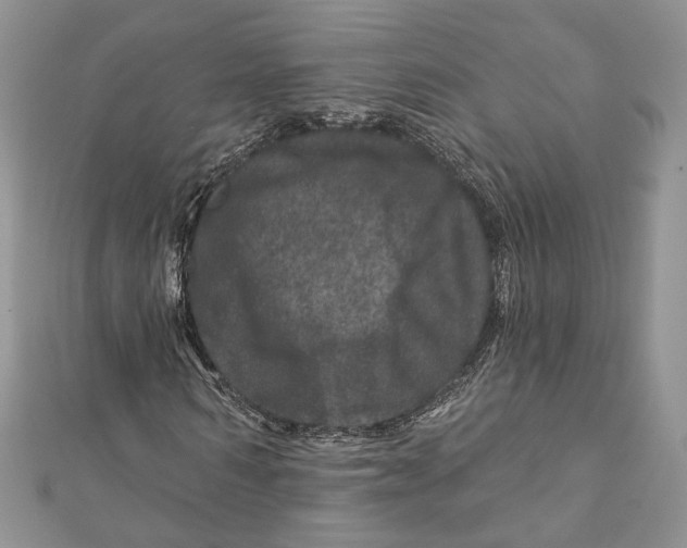 X0000111870962200908201213