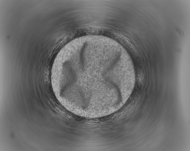 X0000111870964200908201213