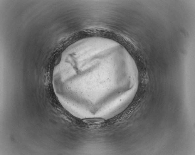 X0000111870965200908201213