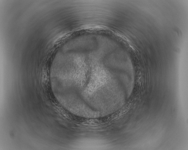 X0000111870966200908201213