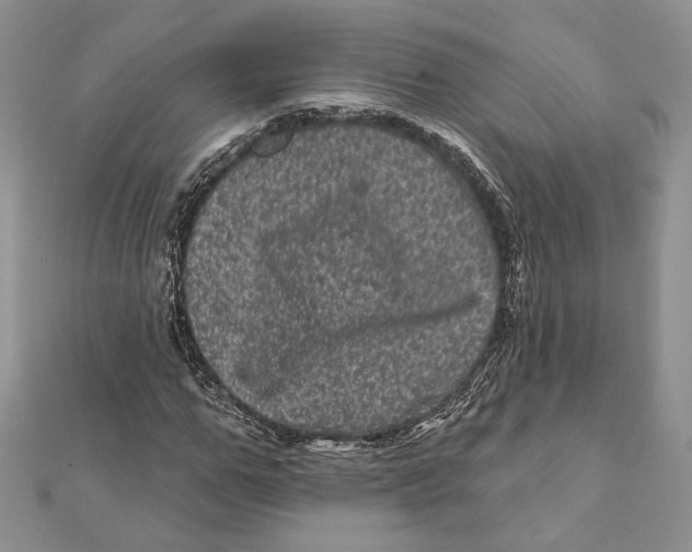 X0000111870967200908201213