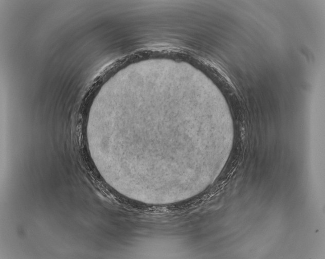 X0000111870968200908201213