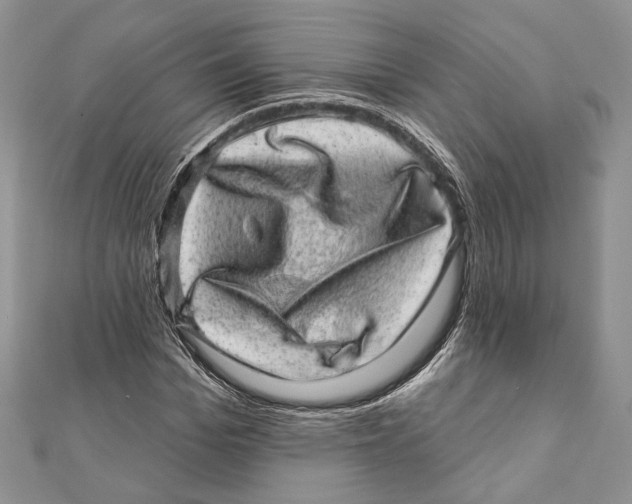 X0000111870969200908201213