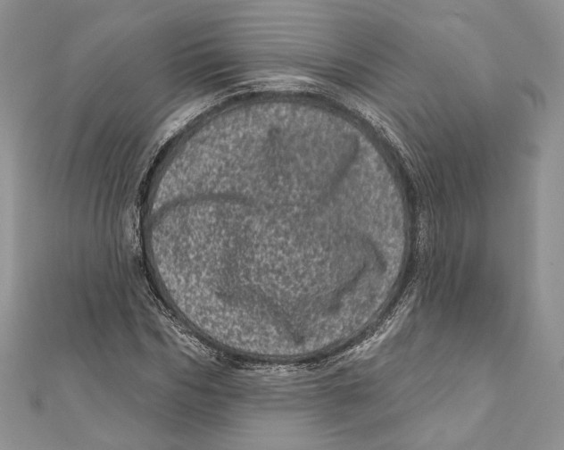 X0000111870970200908201213