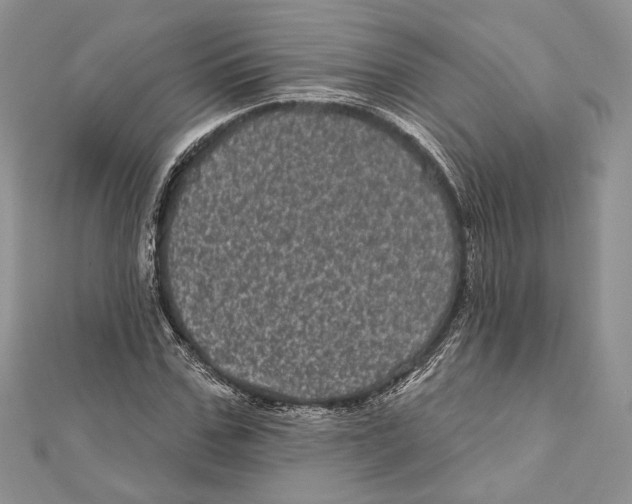 X0000111870971200908201213