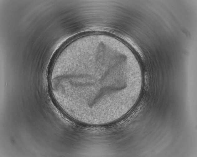 X0000111870972200908201213