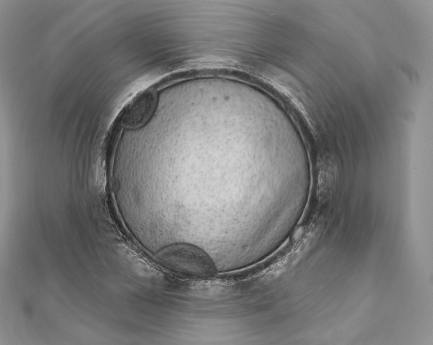 X0000111870973200908201213