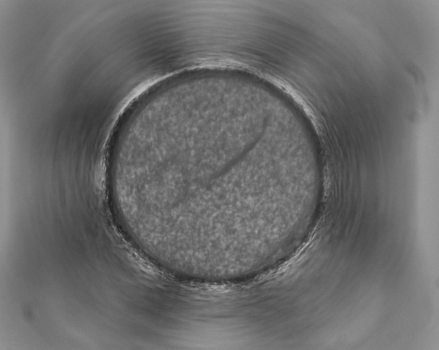 X0000111870975200908201213