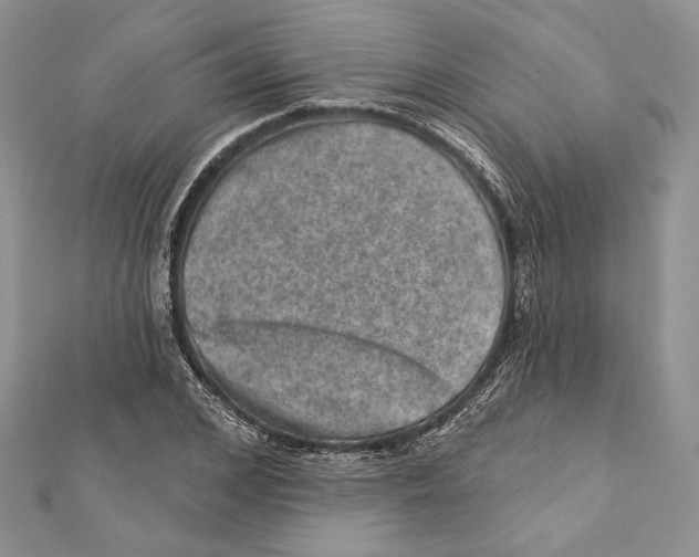 X0000111870976200908201213